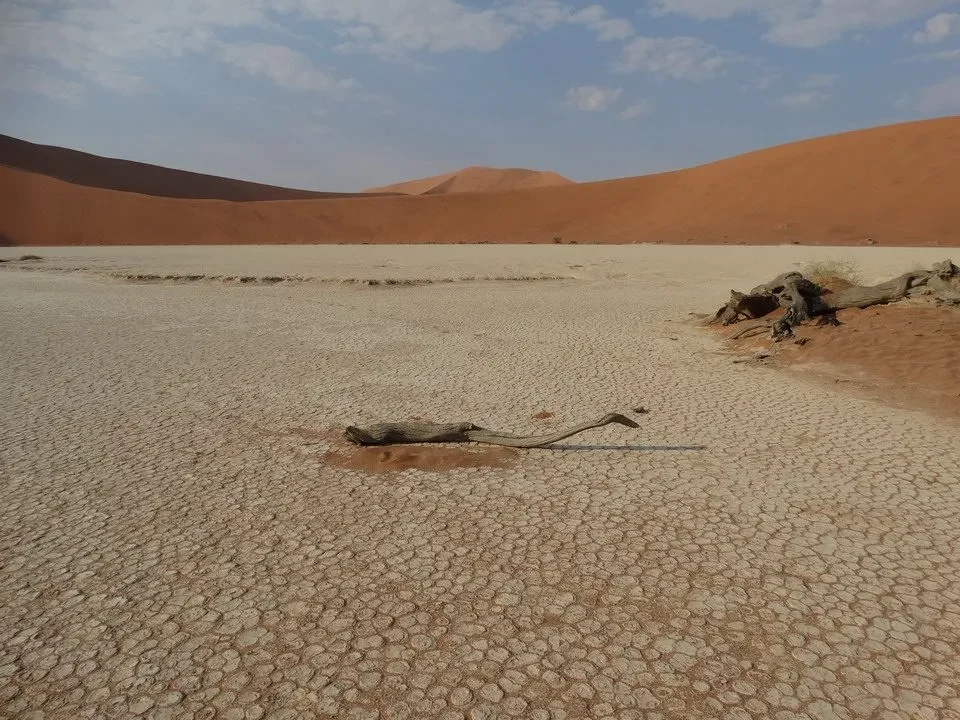 Un paesaggio desertico con dune aride domina l'orizzonte sotto un cielo azzurro.