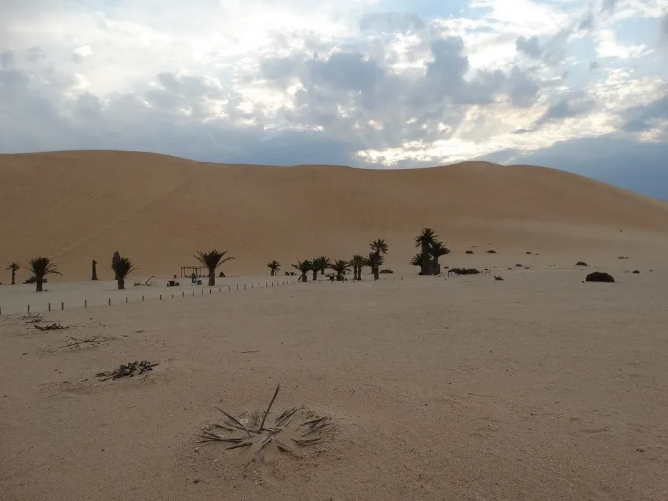 Dune di sabbia dorata sotto un cielo nuvoloso con palme sparse.