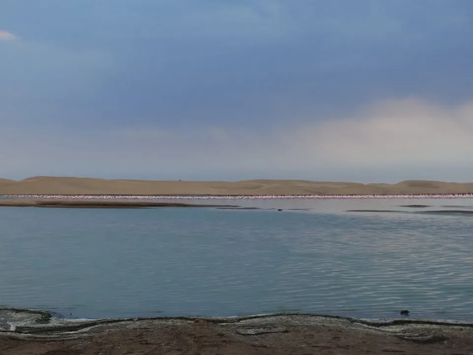 Flamingi nel paesaggio del Namib o della Botswana.