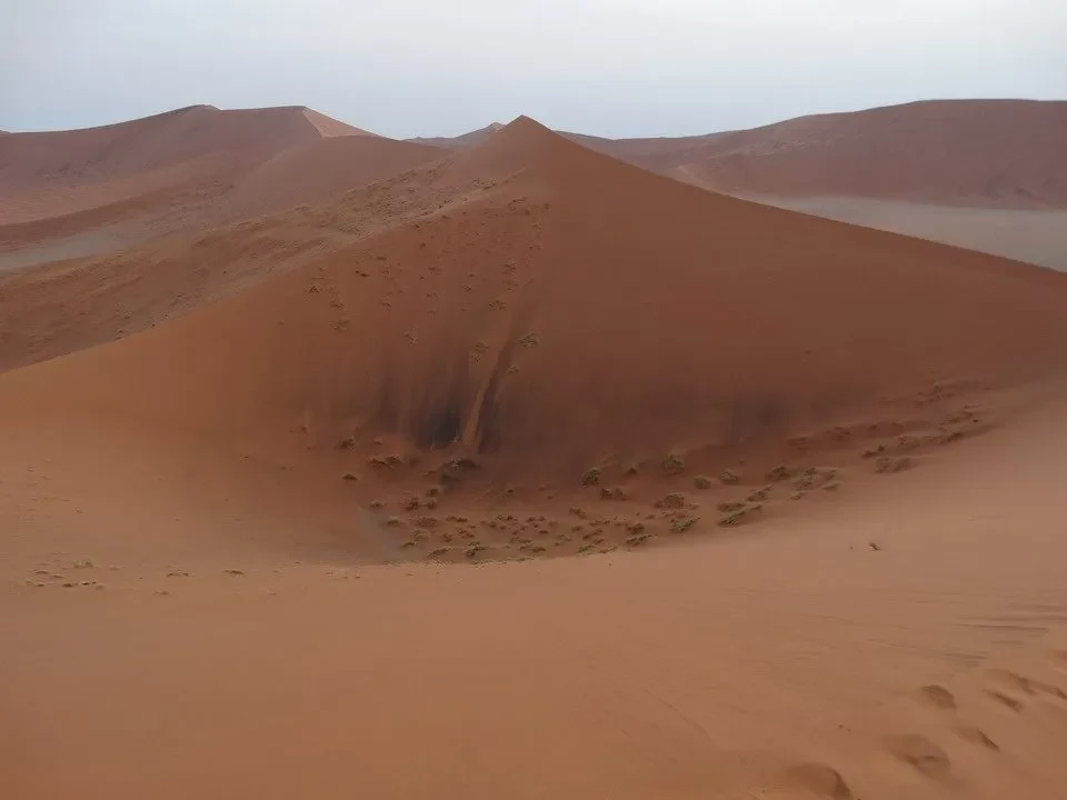 Dune aride e ondulate nel paesaggio del deserto africano.