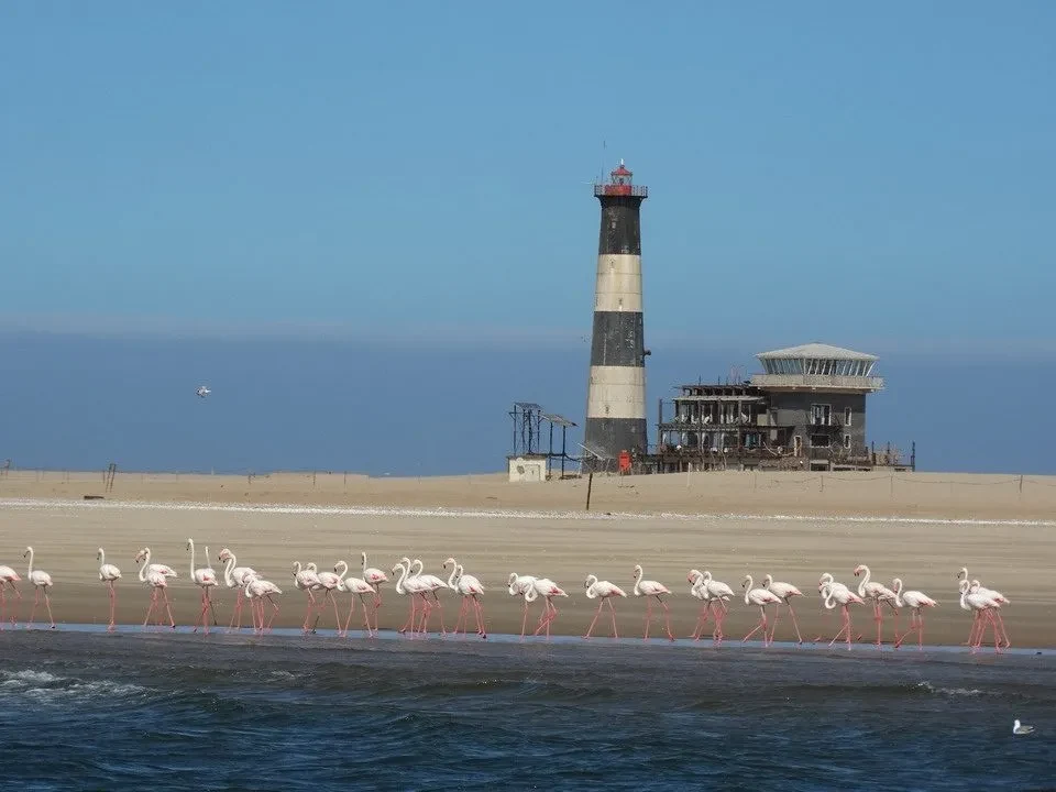 Flamingi stanno vicino a una torre di segnalazione sulla spiaggia.