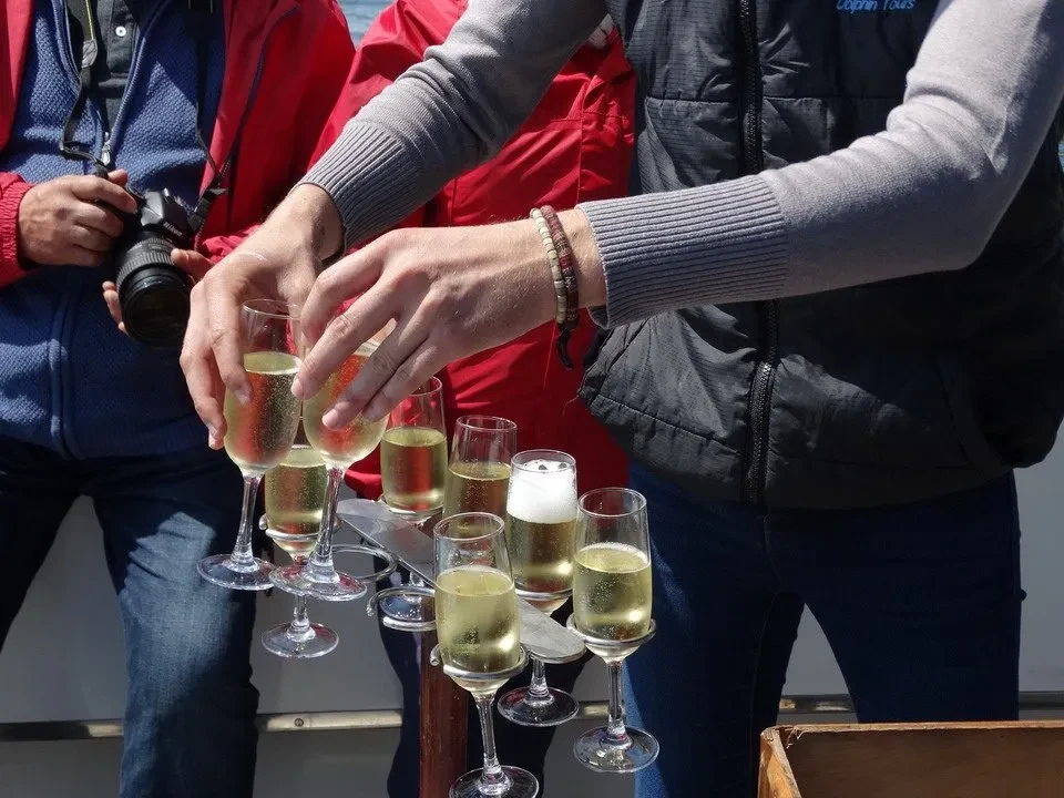 Gruppo di persone brinda con bicchieri di vino all'aperto.