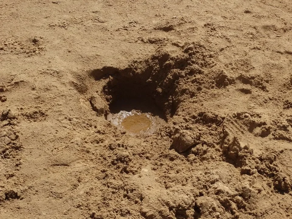 Una pozza d'acqua si trova in un terreno sabbioso e arido.
