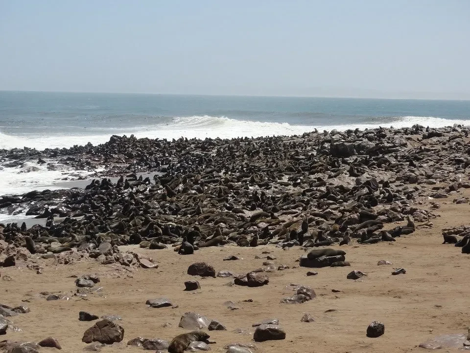 Rocce scure e sabbia bagnata costeggiano sotto il sole.