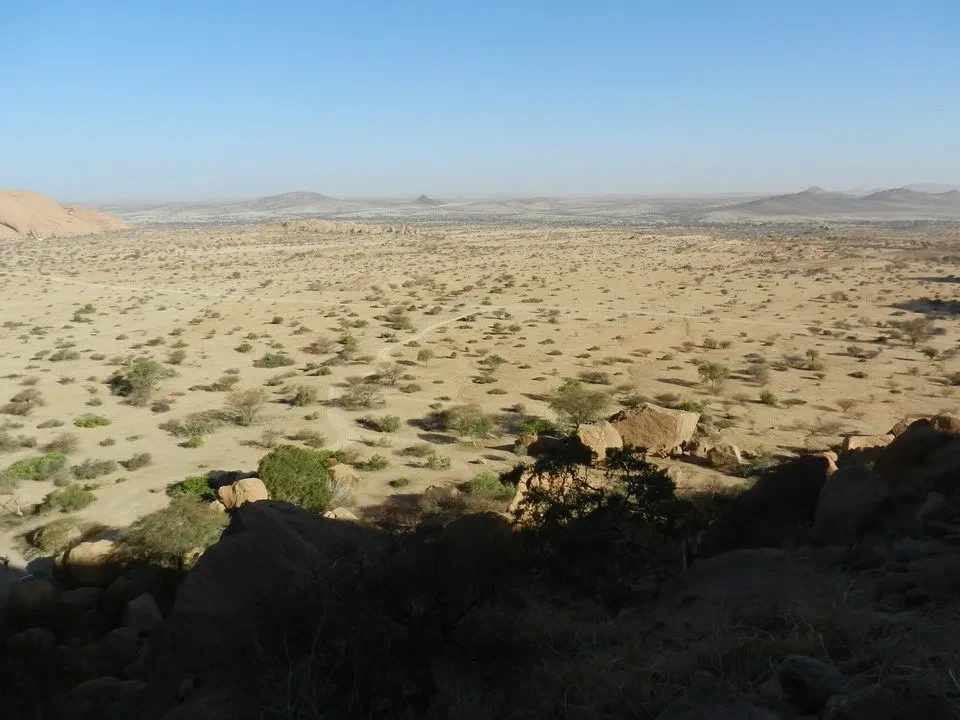 Paesaggio arido del deserto con orizzonte piatto sotto un cielo azzurro.