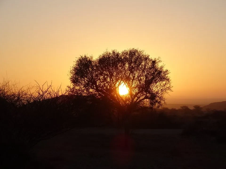Damaraland