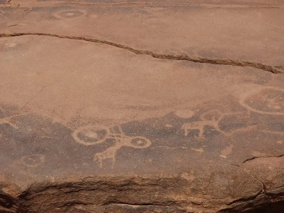 Incisioni rupestri di animali su una roccia nel deserto africano.