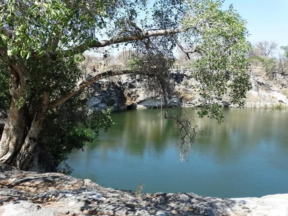 Un lago tranquillo circondato da alberi in un paesaggio arido.