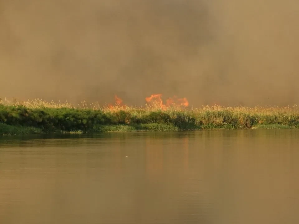 L'acqua calma riflette la vegetazione bagnata da una foschia calda e arancione.