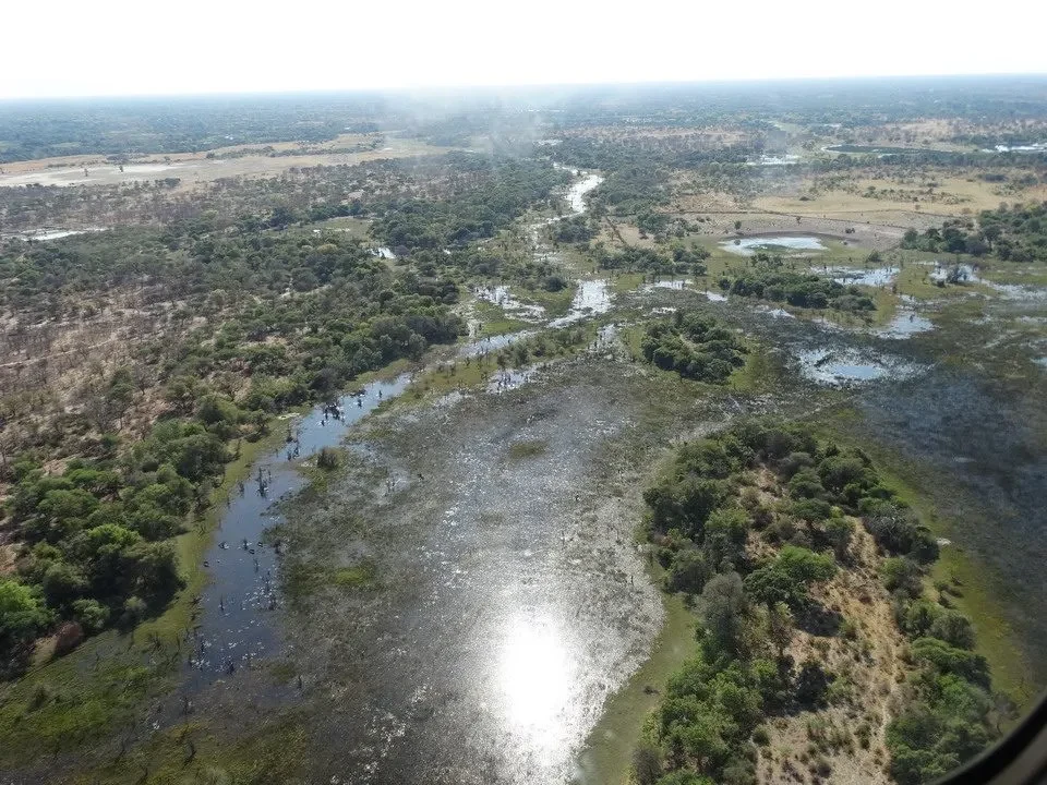 Okawango Delta