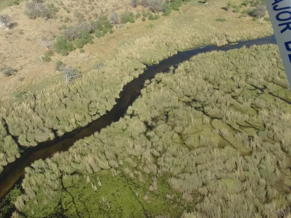 Un fiume serpeggia attraverso una savana secca in Namibia, Botswana e Zimbabwe.