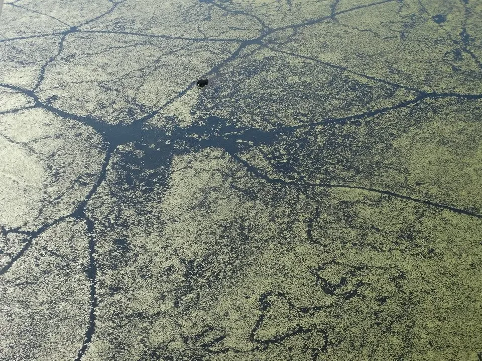 Una barca naviga attraverso le acque increspate del delta dell'Okavango.