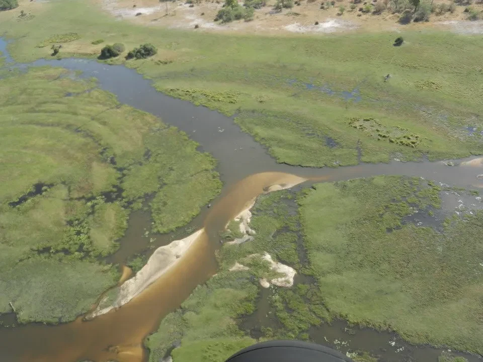 Vista aerea di un fiume sinuoso che attraversa una pianura verde e boscosa in Namibia, Botswana e Zimbabwe.