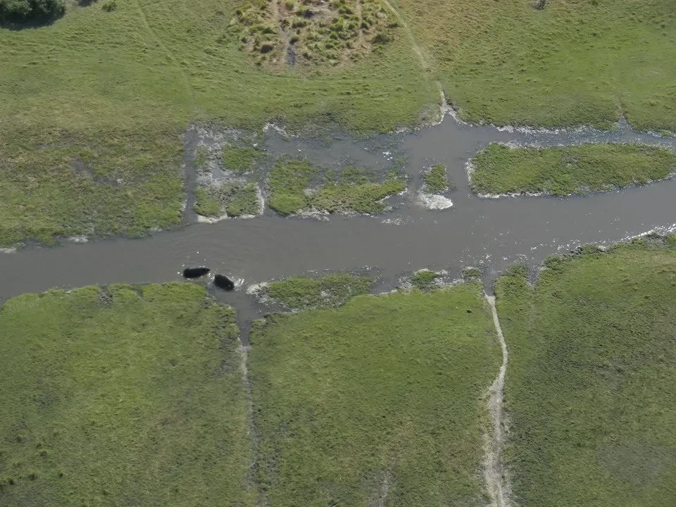 Una vista di un fiume che scorre attraverso una pianura erbosa nel delta dell'Okavango.