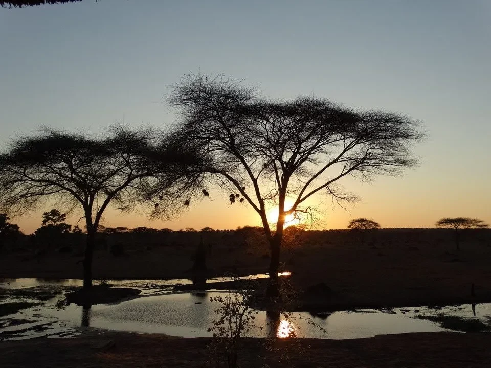 Tramonto solare sopra un lago in una savana africana con alberi spogli.