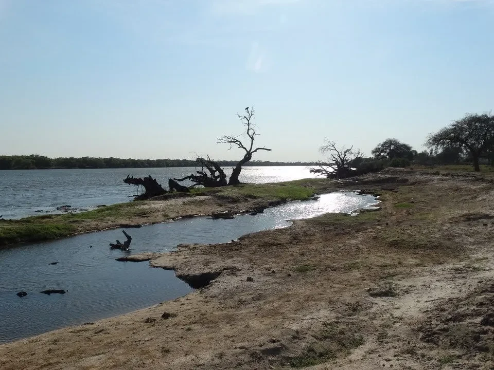 Un fiume scorre attraverso una pianura arida con alberi sparsi.