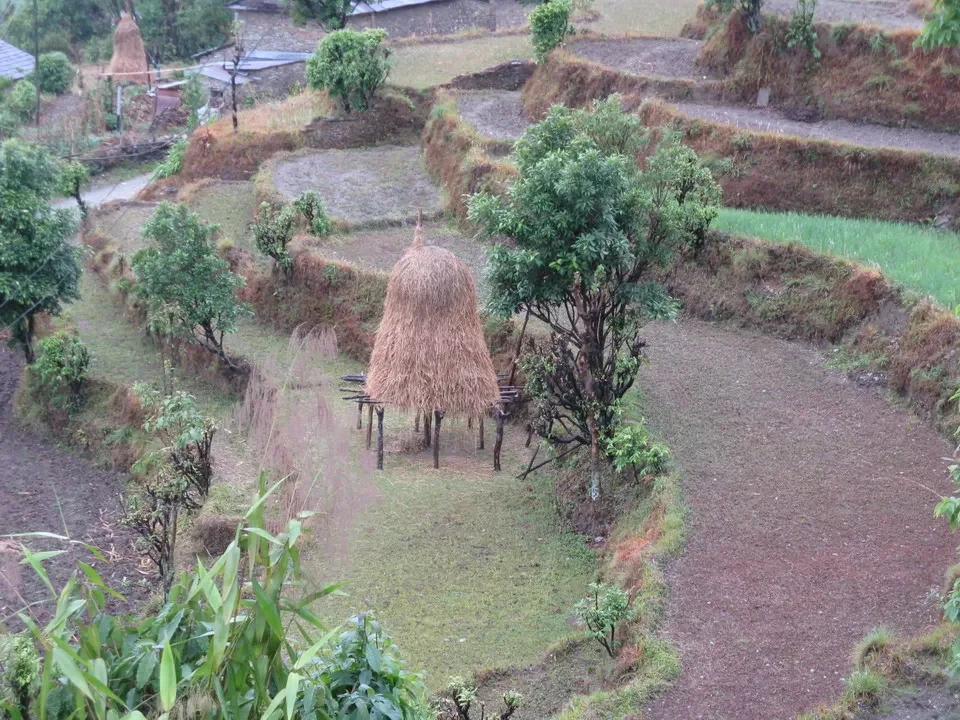 Paesaggio agricolo con campi terrazzati in Nepal o Tibet.
