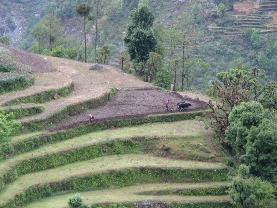 Trek Annapurna II