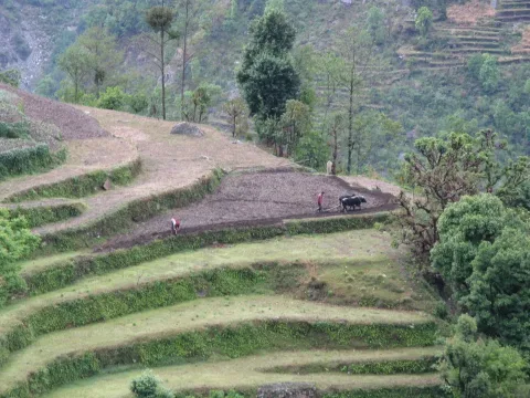 Trek Annapurna II