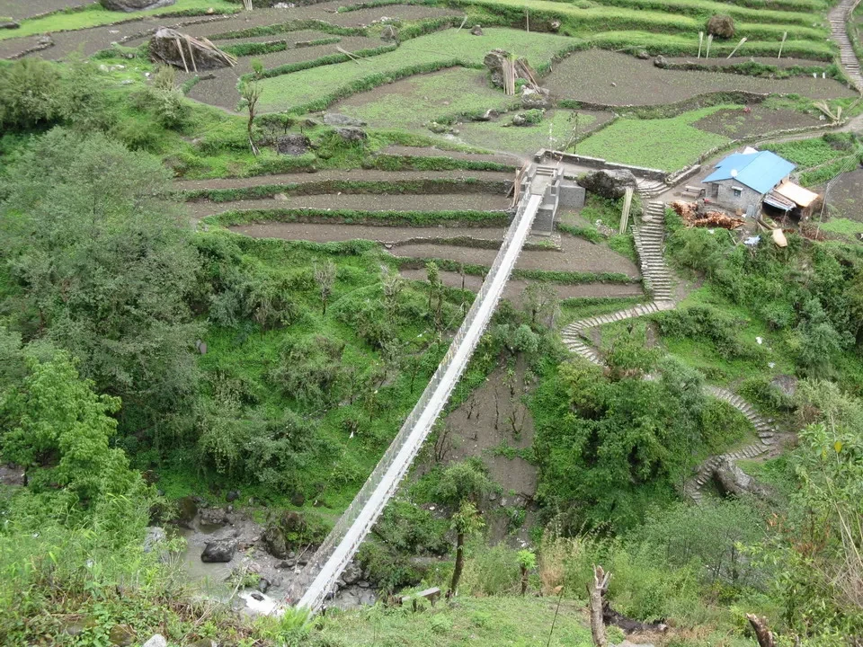 Terrazzamenti verdi seguono un corso d'acqua in una valle himalayana.