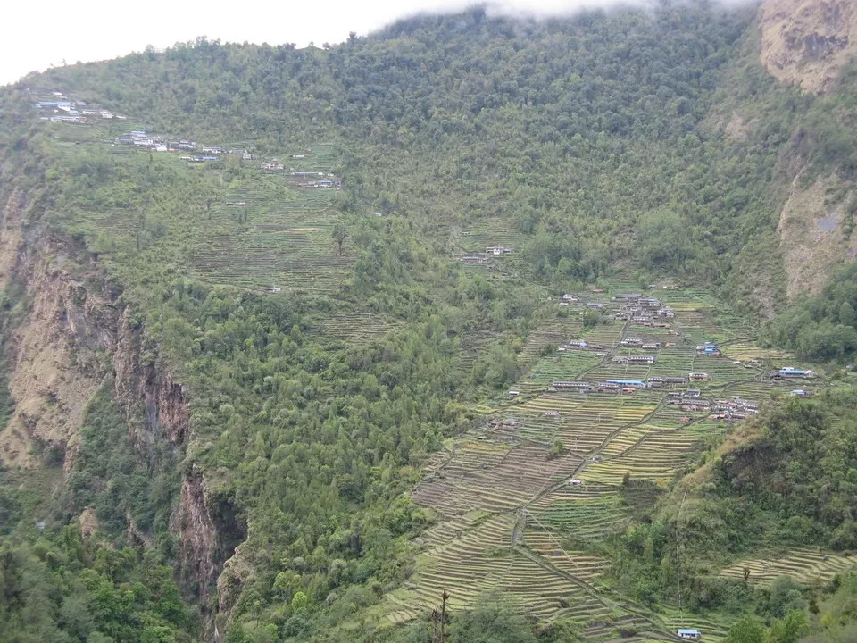 Terrazzamenti verdi si estendono lungo le ripide montagne del Nepal e del Tibet.