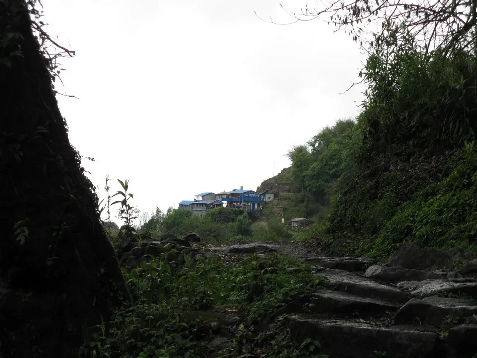 Un sentiero roccioso e verde conduce attraverso un paesaggio montano in Nepal o Tibet.