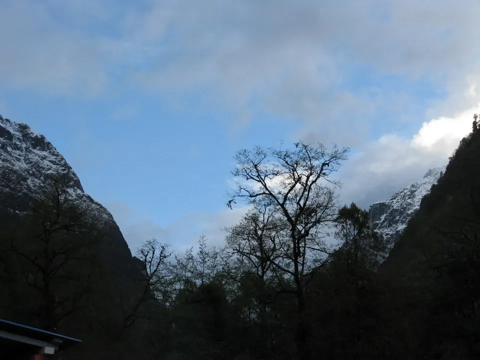 Foresta di alberi con montagne innevate sullo sfondo in Nepal e Tibet.