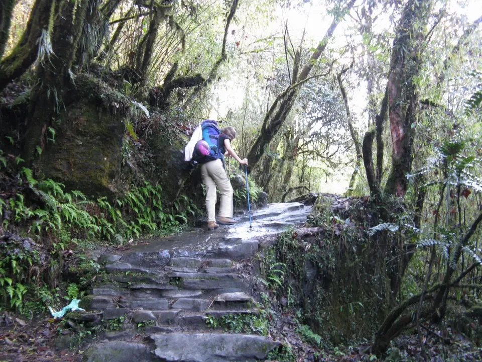 Un viaggiatore cammina su scalini umidi attraverso una foresta lussureggiante in Nepal o Tibet.