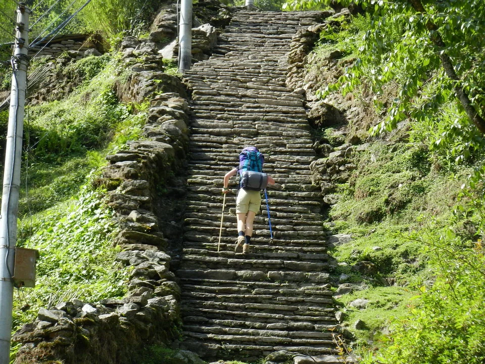 Sentiero di pietra che si snoda attraverso una ripida collina verde in Nepal o Tibet.