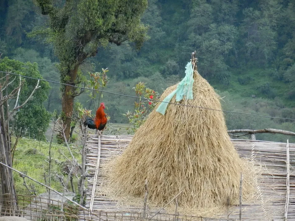 Un mucchio di paglia con un tessuto appeso si trova in un paesaggio montano del Nepal o del Tibet.