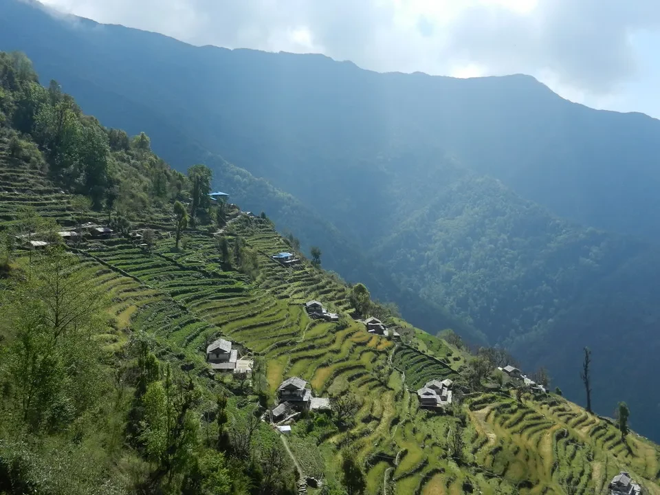Terrazze coltivate e piccoli villaggi sui pendii tra Chhomrong e Ghandruk.