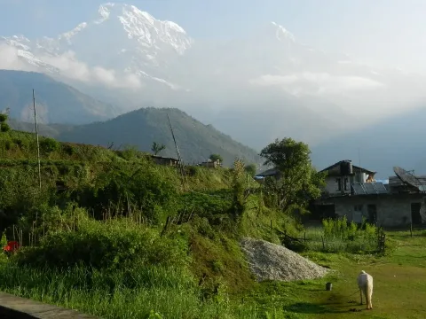 Trek Annapurna VI