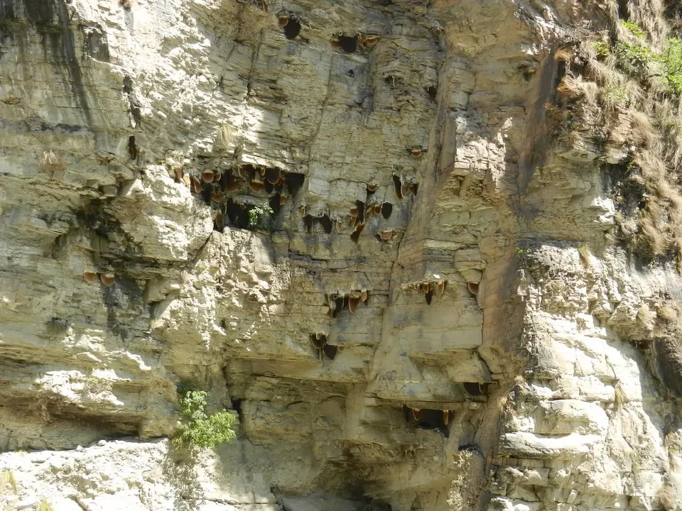 Parete rocciosa con numerose grotte naturali incavate nella formazione.