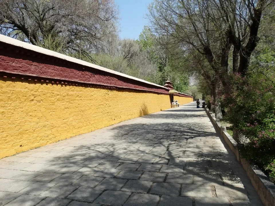 Muro giallo lungo un sentiero alberato in Tibet vicino a Lhasa.