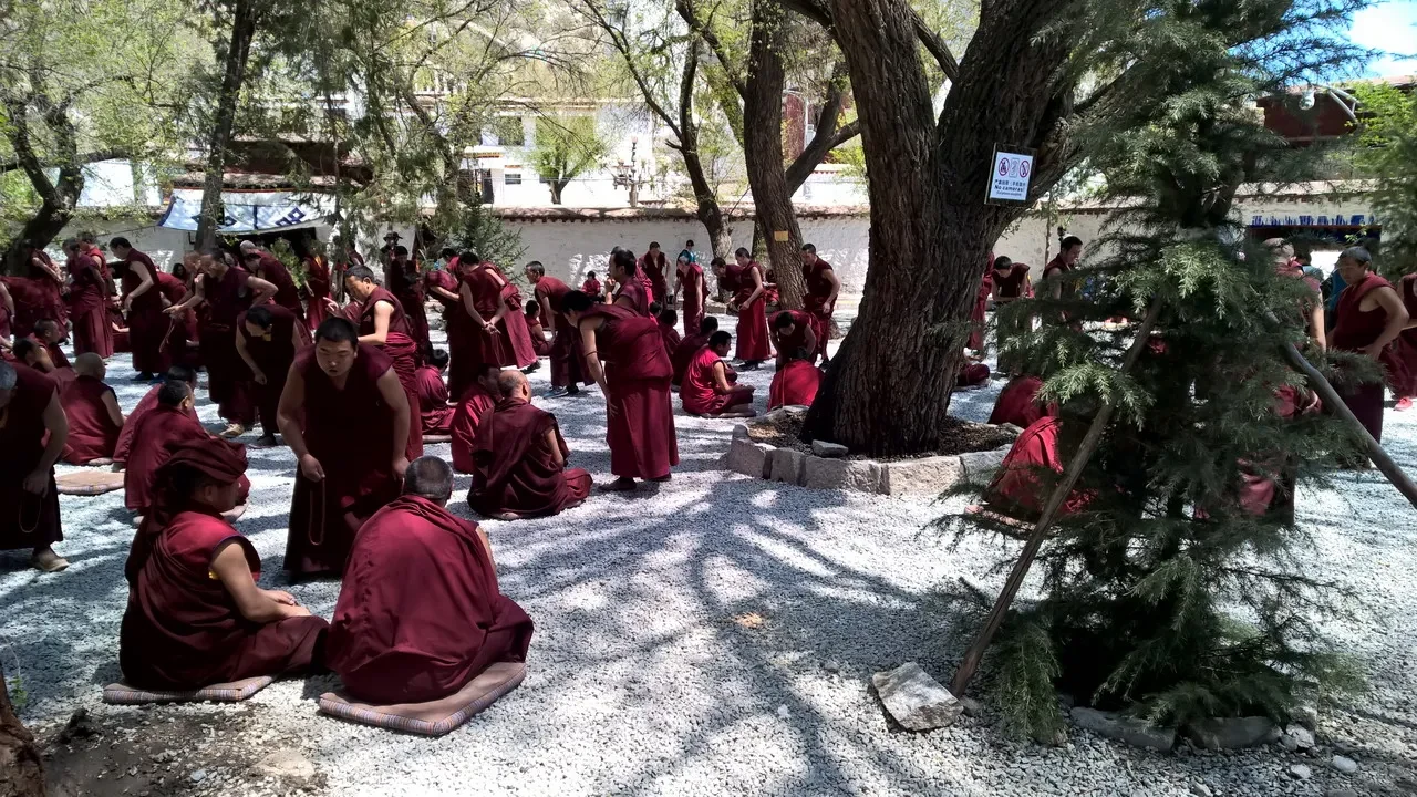 Monaci meditano all'aperto in un ambiente montano.