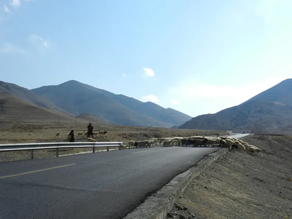 Un paesaggio montano vasto lungo una strada in alta quota con animali da pascolo.