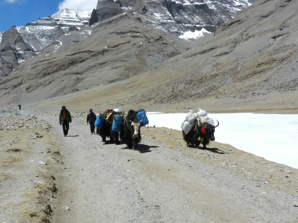 Viaggiatori attraversano un paesaggio montano arido verso il Kailash.