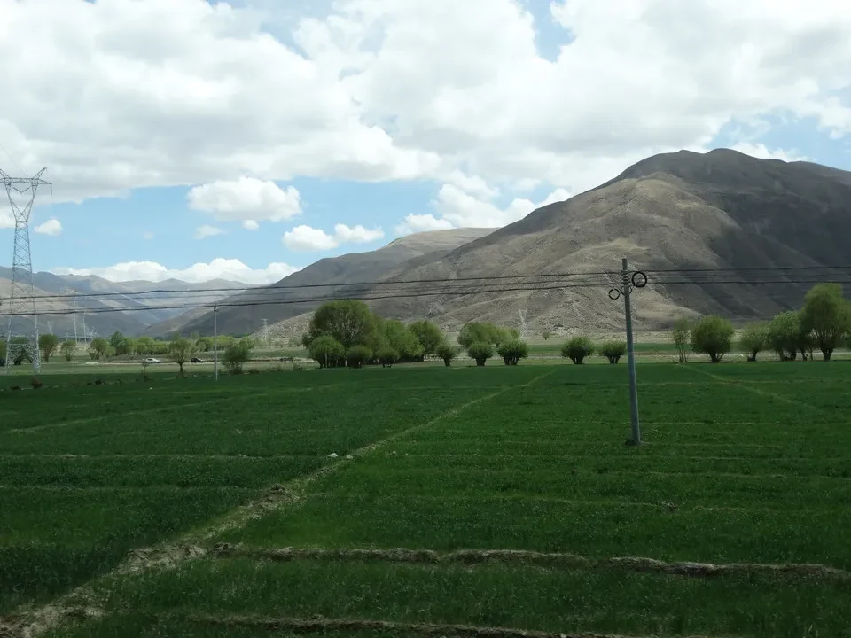 Paesaggio montano con colline ondulate e alberi sotto un cielo nuvoloso.