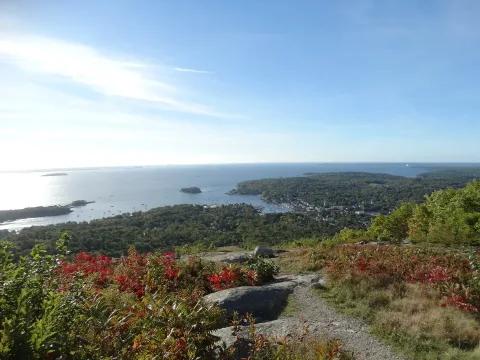 Acadia N.P.