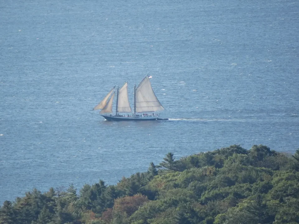 Una barca a vela naviga su acque aperte con un paesaggio costiero verde in primo piano.