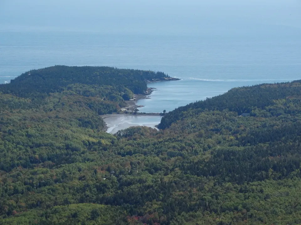Foresta verde e acqua costiera in una regione del New England.