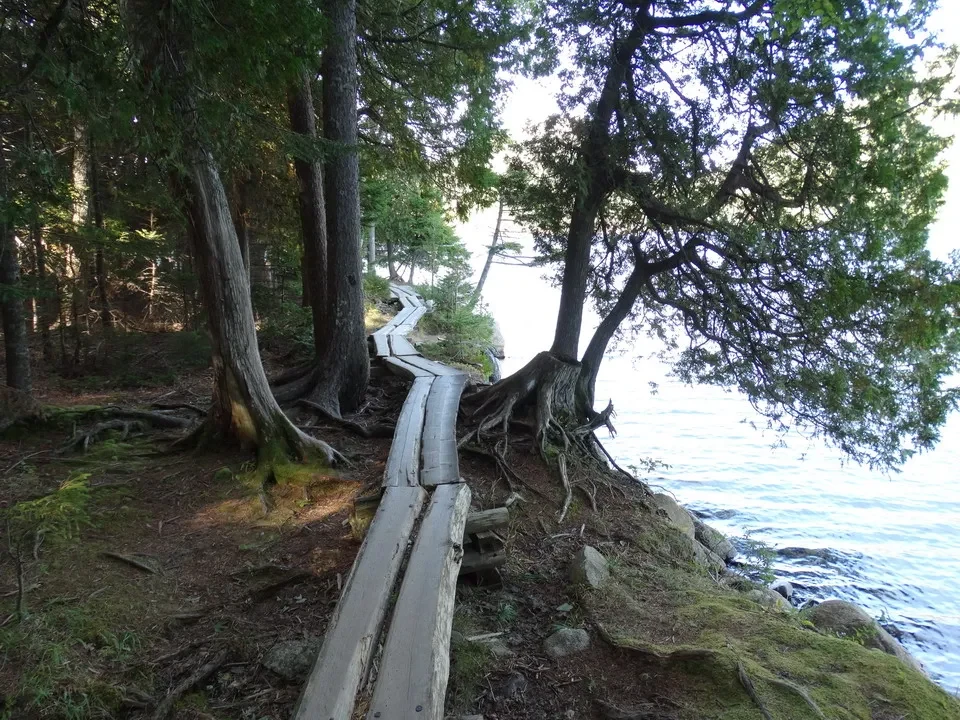 Sentiero di legno lungo la costa con alberi e acqua.