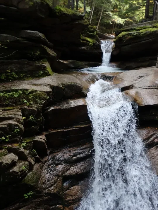 Cascata nella foresta con acqua che scorre su rocce bagnate.