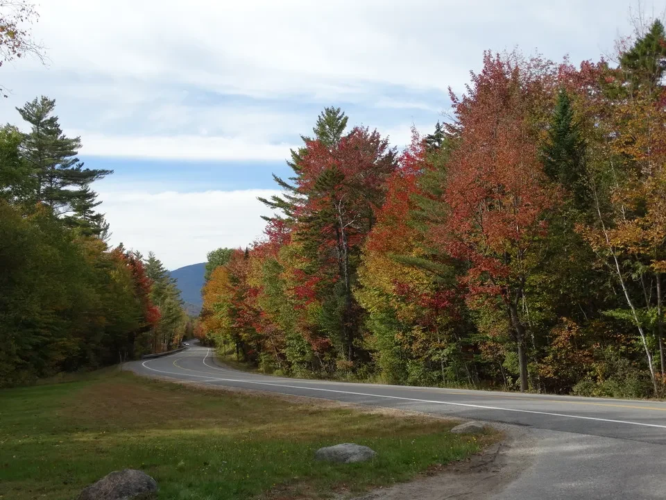 Un paesaggio autunnale lungo una strada in New England con alberi dai colori vivaci.