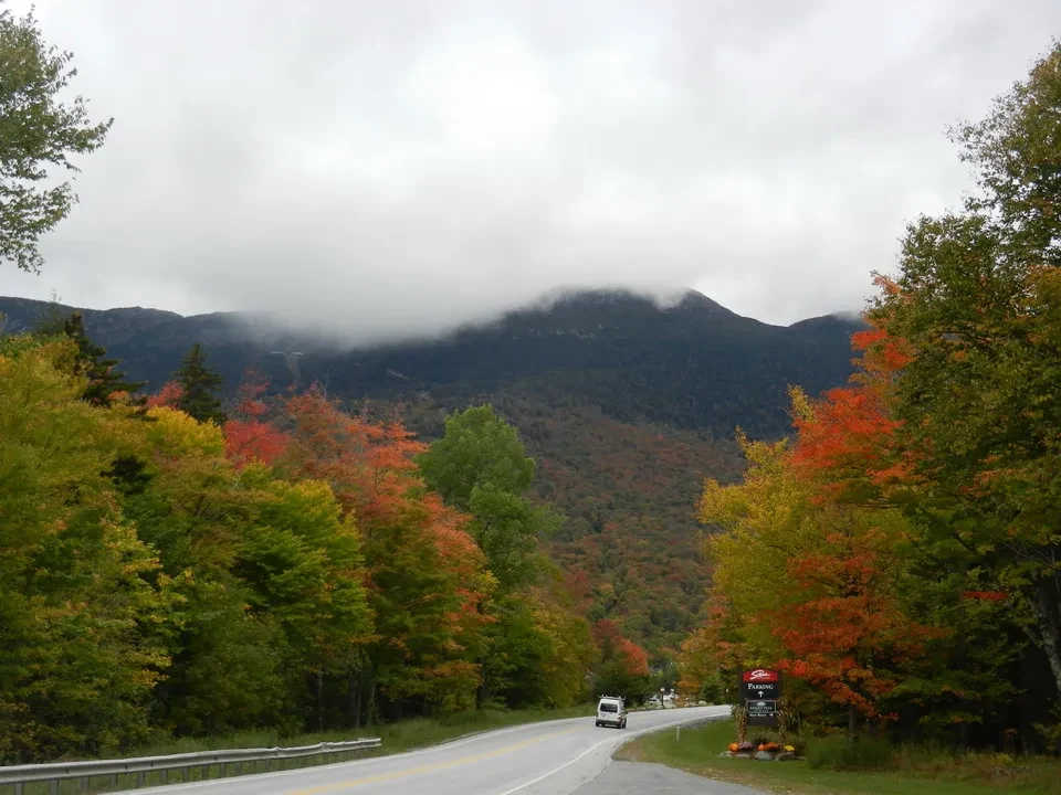 Una strada panoramica attraversa un paesaggio boscoso autunnale in New England sotto una nebbia.