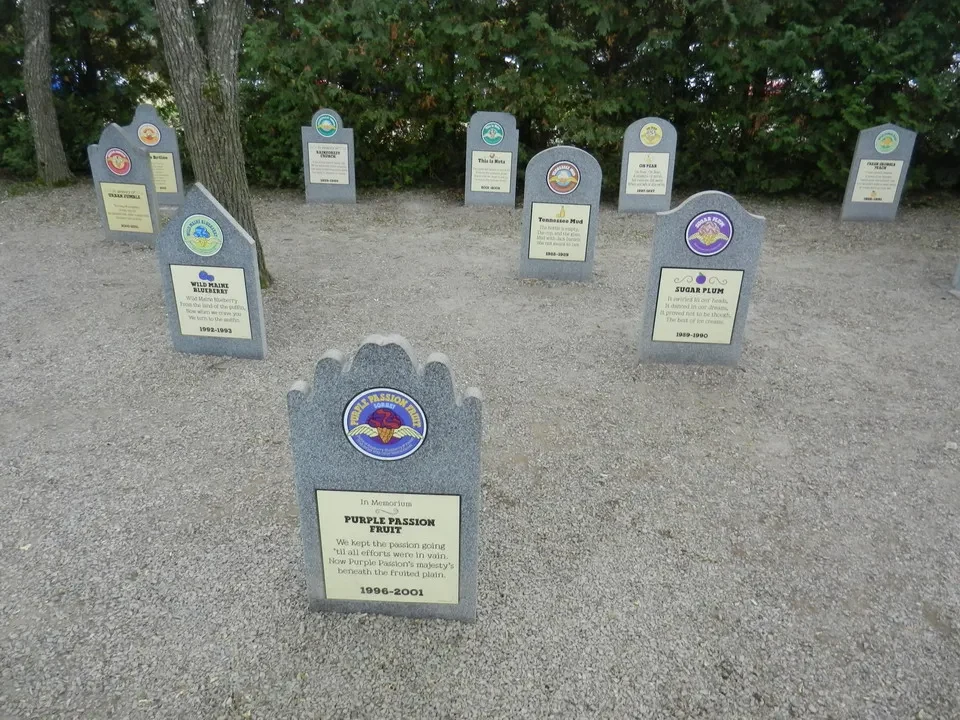 Una galleria di foto di monumenti commemorativi in un cimitero.