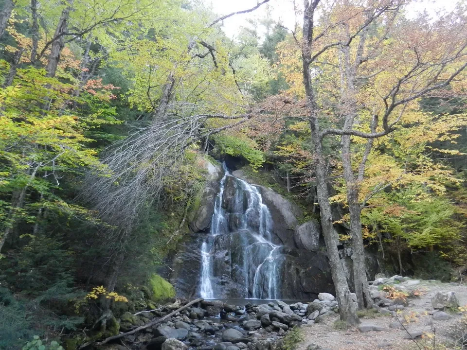Una cascata bagnata scorre attraverso una foresta lussureggiante in una zona boschiva della New England.