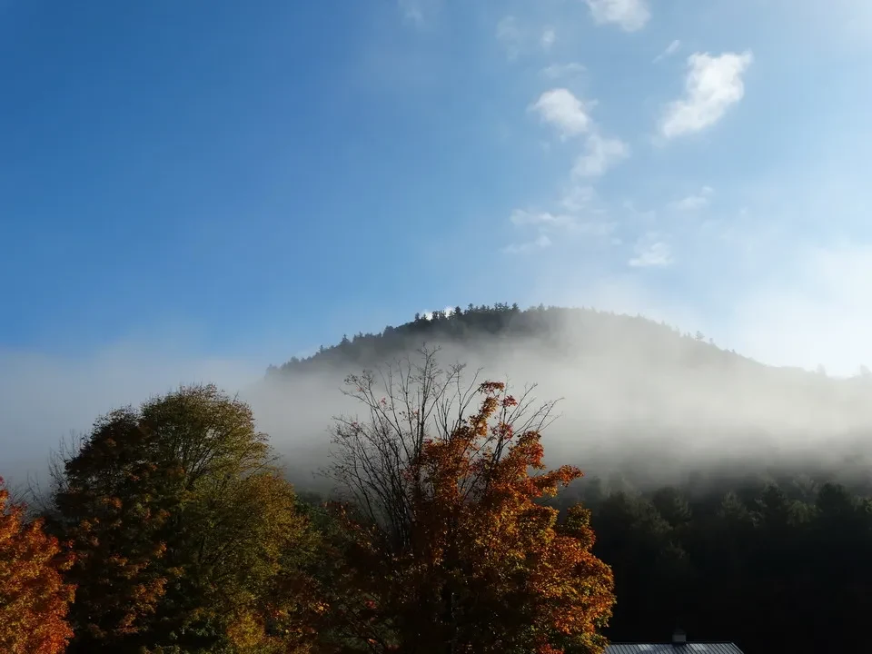 Una valle boscosa è avvolta da una nebbia mattutina sopra le colline.