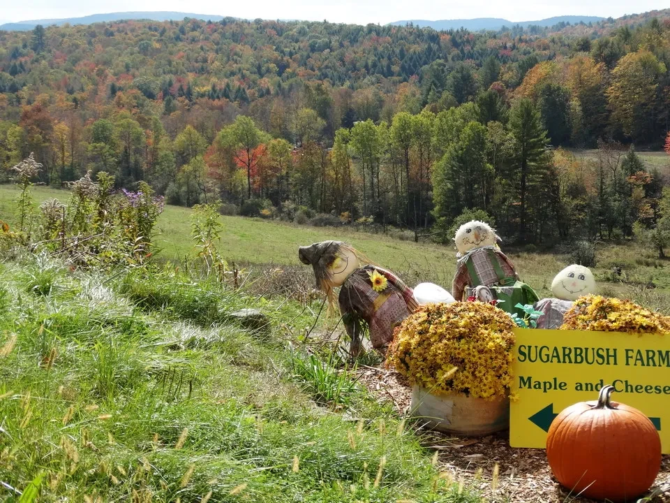 Un campo autunnale con zucche e oggetti decorativi in primo piano.