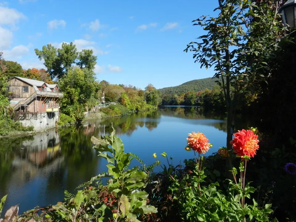 Vista panoramica di un fiume circondato da vegetazione lussureggiante e fiori colorati nel New England.